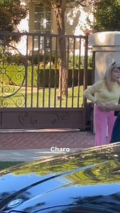 Saw Charo in Beverly Hills on Saturday! 💃 Follow @hollywoodbustours for more celebrity sightings and the best tours in LA. Guests on our Celebrity Homes Tour got to see the legendary Spanish singer, actress, and flamenco guitarist best known for her fiery performances and signature “Cuchi-Cuchi.” A true Hollywood icon still lighting up the city. 🔥 #Charo #HollywoodBusTours #CelebritySightings #Hollywood #ExploreLA #VisitCalifornia #FYP #Trending | Hollywood Bus Tours