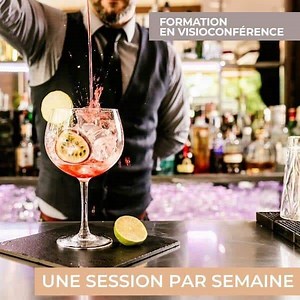 Formation Permis d'Exploitation en Ligne (Visioconférence) - CRC Formation