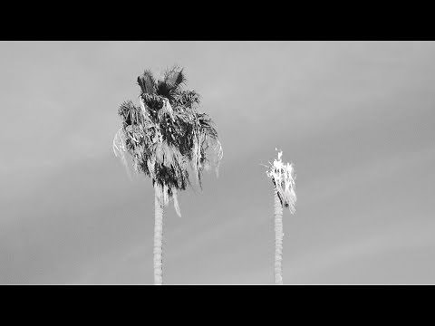 Rainbow Kitten Surprise - Holy War [Official Video]