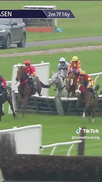 Diva dazzles at @MarketRasenRacecourse! 💃✨🤩 Tankardstown Diva records her first win for us 🙌 Living up to her name, she tanked through the race up the inside rail. @Jack Andrews then switched her out just before the last and she powered up the run-in to record a facile success 💥 We’re delighted for her owner’s, the Bowlby’s 🥳 Another great ride from Jack and another stupendous effort from the team 💪 I Am Rocco also put in a stellar effort to claim 2nd in his race 🥈 That’s now a magnificen