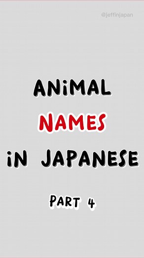 Animal Names in Japanese Part 4 #japan #japanese #hiragana #katakana #kanji #tokyo #osaka #hokkaido #studyjapanese #learnnihongo #日本語勉強