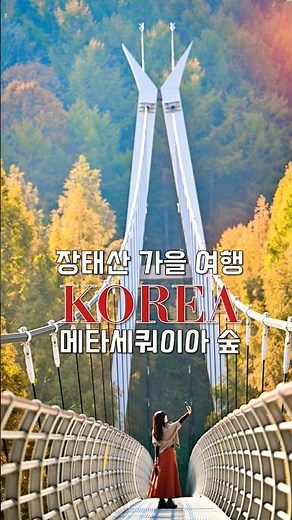 장태산 자연휴양림 메타세콰이어 🍁 #가을여행 을 준비할 타이밍! #대전