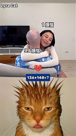 Funny Problem Shol 😂🤣 #funny #cat #dance #shorts