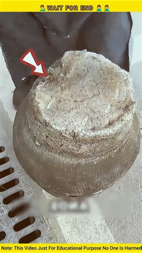 Building Wooden Log Cabin in Forest 🤩😺। Survival House Step by step ^7 #fact #amazingfacts