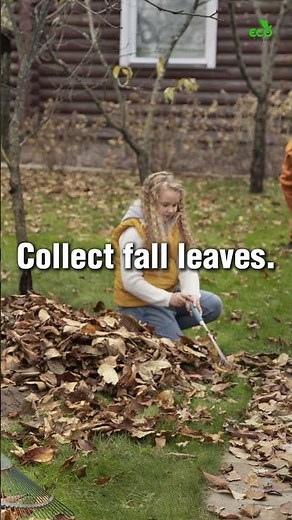 How to Compost Leaves in Fall 🍁