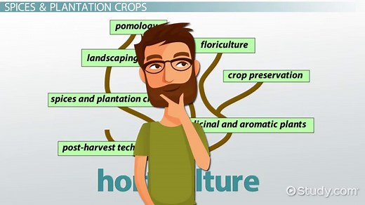 You must c C reate an account to continue watching