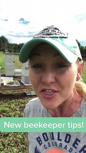 3 Things to Avoid as a New Beekeeper