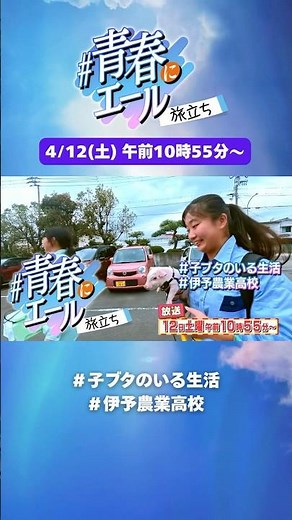 \\Special broadcast of "#Yell for Youth"🕊/📺Saturday, April 12th, 10:55am~
