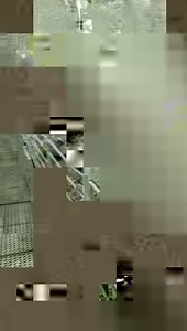 34K views · 708 reactions | Am 15.09. starteten wir bereits in unsere Almabtriebssaison. Diesen Samstag findet der nächste Almabtrieb statt. Alle Termine findest du hier  https://www.best-of-zillertal.at/veranstaltungen/almabtriebe/ | Best of Zillertal | Facebook