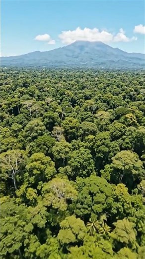 EARTH FROM ABOVE - 4K DRONE FOOTAGE | EXPERIENCE NATURE'S SPLENDOR IN 4K |🌍✈️