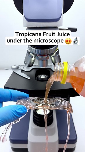 Would you still drink Tropicana Fruit juice after seeing it magnified 400 times under a microscope?🔬😍🤔🥤#microscope #undermicroscope #fyp #tiktok