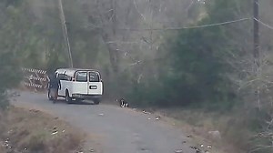 Houston SPCA & Harris County pursue justice in heart-wrenching animal abandonment case