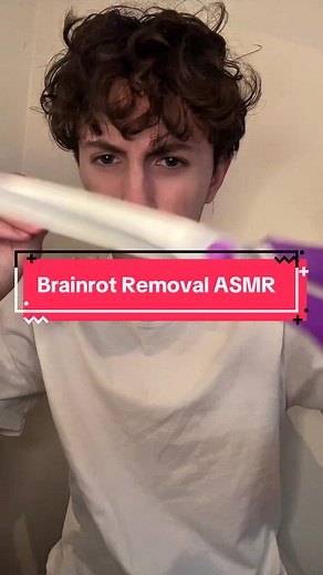 Brainrot Removal ASMR Experience