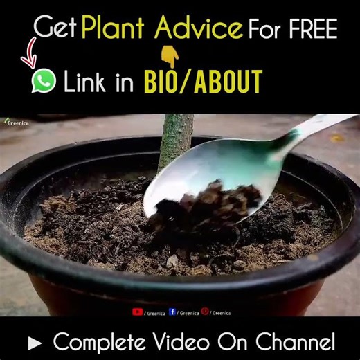 Easiest Way To Turn Clay Soil Into Soft Soil!