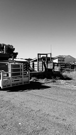 Randy Herman on Reels