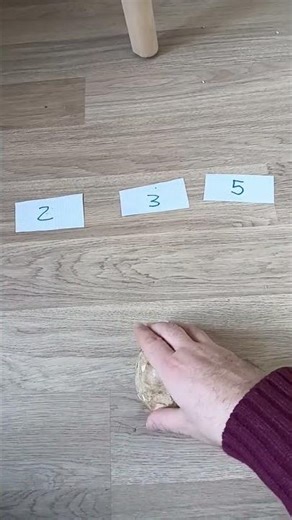 Codey Rocky hace sumas