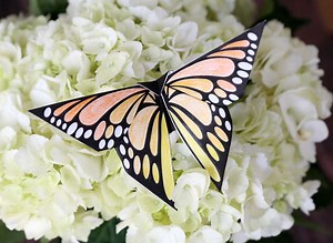 5.6K views · 77 reactions | Use printable templates to make these beautiful Origami Butterflies! Print, color + fold: https://www.itsalwaysautumn.com/origami-butterfly-printable-templates.html | It's Always Autumn | Facebook