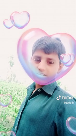 tafiq51 on TikTok