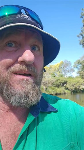 I know i keep saying this... but its the difference between happy wagging tails or no pup at all... | Harrison's Gold Coast and Brisbane Snake Catcher