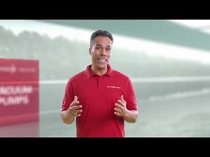 Freeze drying process | by Pfeiffer Vacuum