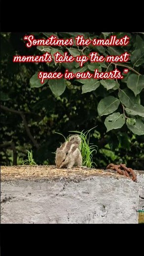 Squirrel Snacks: A Culinary Adventure #nature