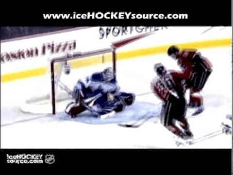 Best NHL Goals of the Season 2007-2008