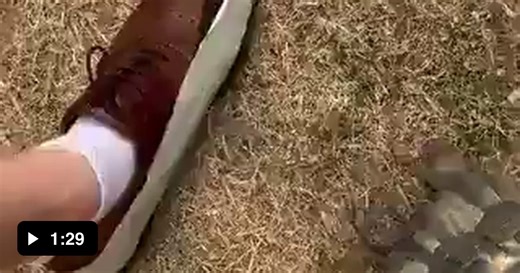 Can you explain this - Video