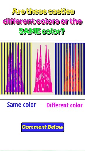 Can you spot the trick?Are these castles different colors or the SAME color?#brainteaser#viralshorts