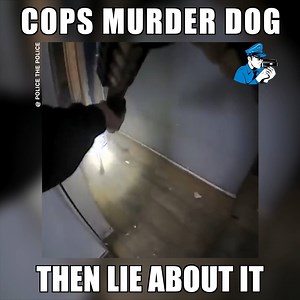 467K views · 124 reactions | During a botched raid for drugs, cops shot a happy dog and lied in their report to justify it, but they were eventually caught. Full Story: https://thefreethoughtproject.com/body-cam-cops-kill-happy-dog/ Join Us & Help: Police the Police 3.0 #PoliceThePolice #PTP #FilmingCops | Cop Block | Facebook