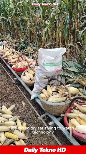 Building A Corn Train 🌽 Is The Ultimate FLEX #Farming