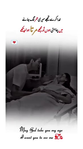 ➤🅢𝙷𝙴Ⓗ🅩𝙰𝙳𝙸 (@quran.teaching4)’s videos with original sound - ➤🅢𝙷𝙴Ⓗ🅩𝙰𝙳𝙸