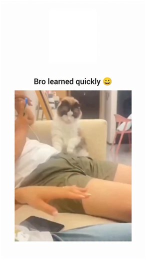 tiskopetra on Instagram: "在日本，研究人员正利用智能人行道将日常活动转化为清洁能源⚡。这些道路内嵌特殊的压电材料，可以从行人的脚步中收集动能。当人们行走、奔跑或跳跃时，路面会轻微变形，从而产生机械压力。压电晶体将这种压力转化为电能🔋。 这些能量可用于照亮路灯、为公共显示屏供电，甚至监测行人流量。这种技术不仅减少了能源浪费，还展示了未来城市的无限可能🌍。 在东京、京都等城市的试验区，人们的每一步都在为绿色地球贡献力量💚。科技让生活更环保，也让每一个脚步更有意义✨"