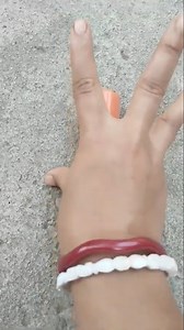 162K views · 657 reactions | Animal Vs Plastic An Unique hack | Funny Recreation | Facebook