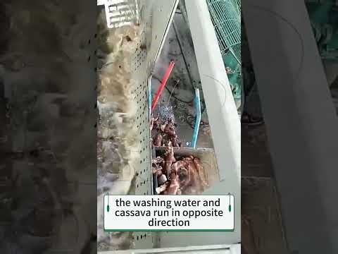 How much is a manioc (yuca) washing equipment? How does the cassava washer work?