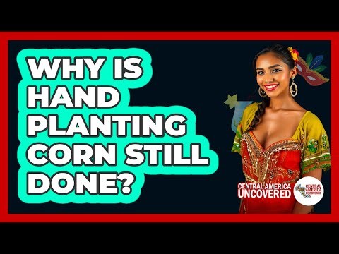 Why Is Hand Planting Corn Still Done?