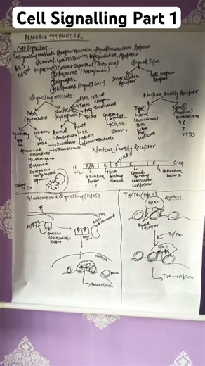 #cell-signalling #csir #csirnetlifescience #csirnetlifesciencestrategy #csir #csirnet #csirnetexam