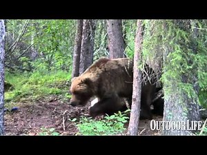 Way Too Close to a Grizzly, Pt. 2