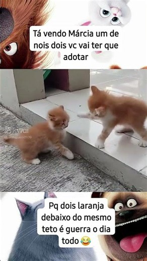 d poucas ideias hj