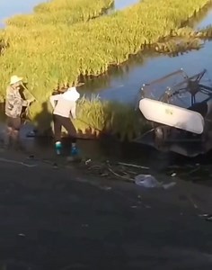 Smart agriculture innovation 🌾🌾🌾🌾🌾 Advanced agriculture Rice farming | Advanced Agriculture