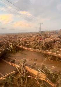 Sitwasyon sa Santa Ana, Cagayan! Ganyan kalakas yung bagyo, daming kahoy #troso 🥹 Video by Avelino Sambrana | CGV The Explorer