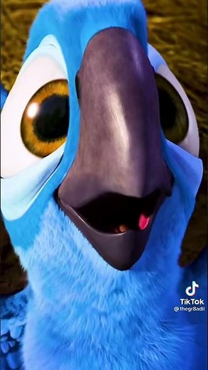 arara-azul do filme Rio😅