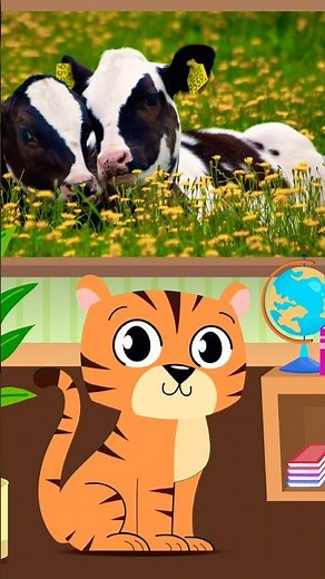Fun Facts About Cows #funfacts #factsforkids #kidslearning #kidsvideo #funny #learning #facts