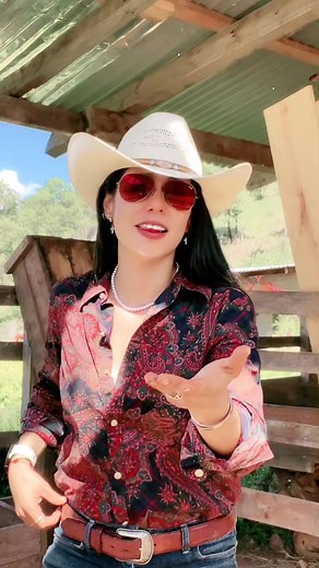 Cuentas recomendadas