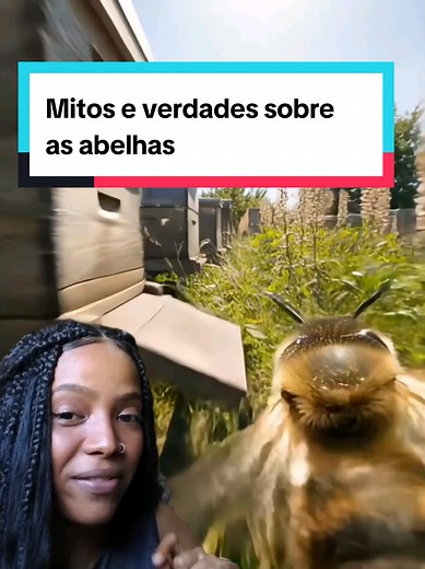 Mitos e verdades sobre as abelhas: curiosidades e como elas fazem o mel