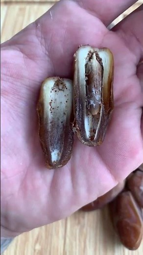 10 Properties of Dates 🤤 BENEFITS!