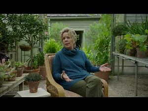 Inside Bunny Williams' Screened Porch, Greenhouse & Conservatory