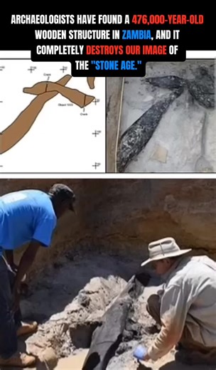 At Kalambo Falls, researchers found two massive, interlocking logs joined by a carefully crafted notch a clear sign of construction. This simple structure is almost half a million years old, making it the oldest wooden construction ever found. This find is revolutionary because it proves that early hominins (like Homo heidelbergensis) weren't just simple nomads. They were skilled carpenters who could shape their environment, build permanent structures, and may have lived in settled communities, 