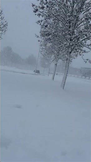 ❄️❄️❄️🌨️