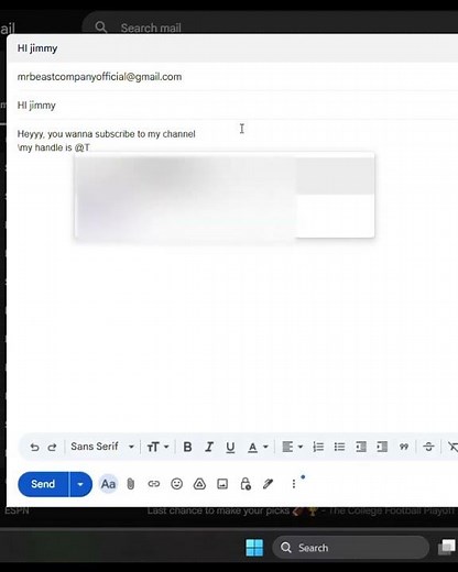 I sent MrBeast an email