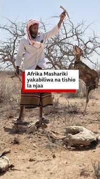 Watu milioni 40.3 kukabiliwa na uhaba mkubwa wa chakula nchi za IGAD